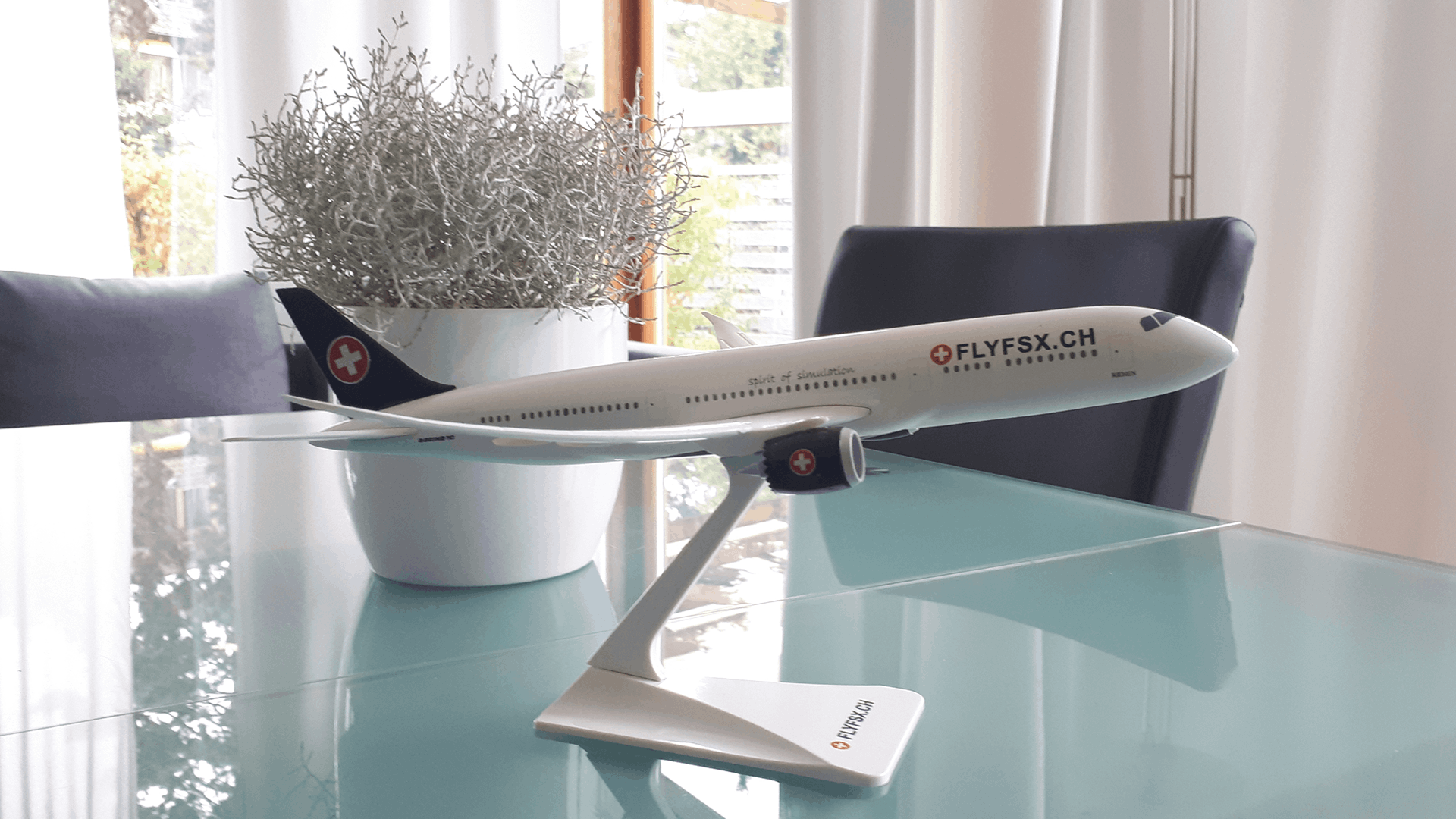 FLYFSX - Flugsimulator - Flight Simulator - Rüchligweg 55 - 4125 Riehen - Basel - Baden - Aarau - Zürich - Schweiz - Lörrach - Freiburg - Deutschland.